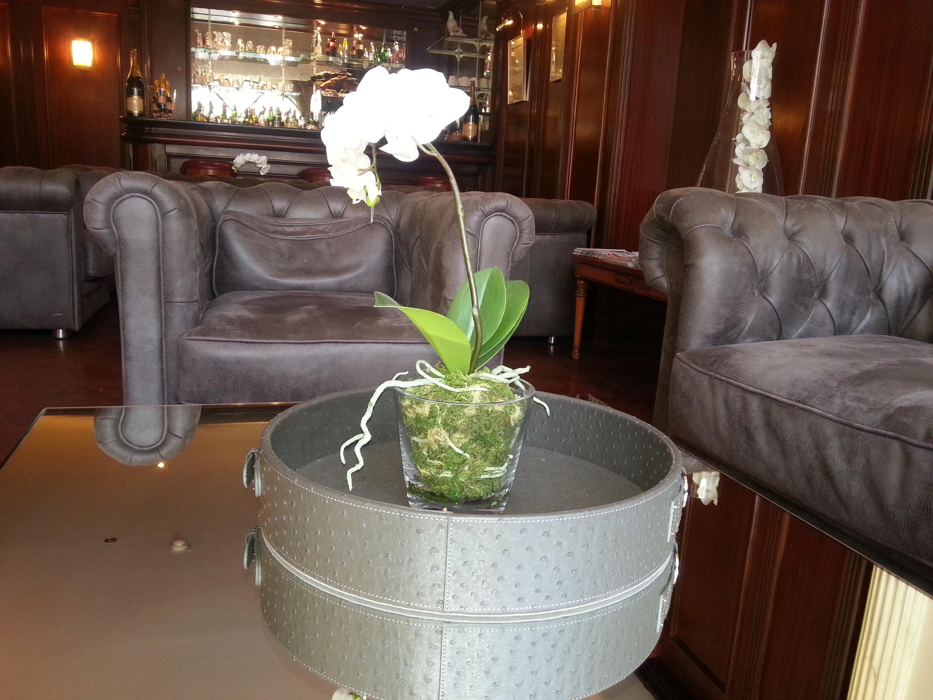 Hotel Derby Eiffel Παρίσι Εξωτερικό φωτογραφία